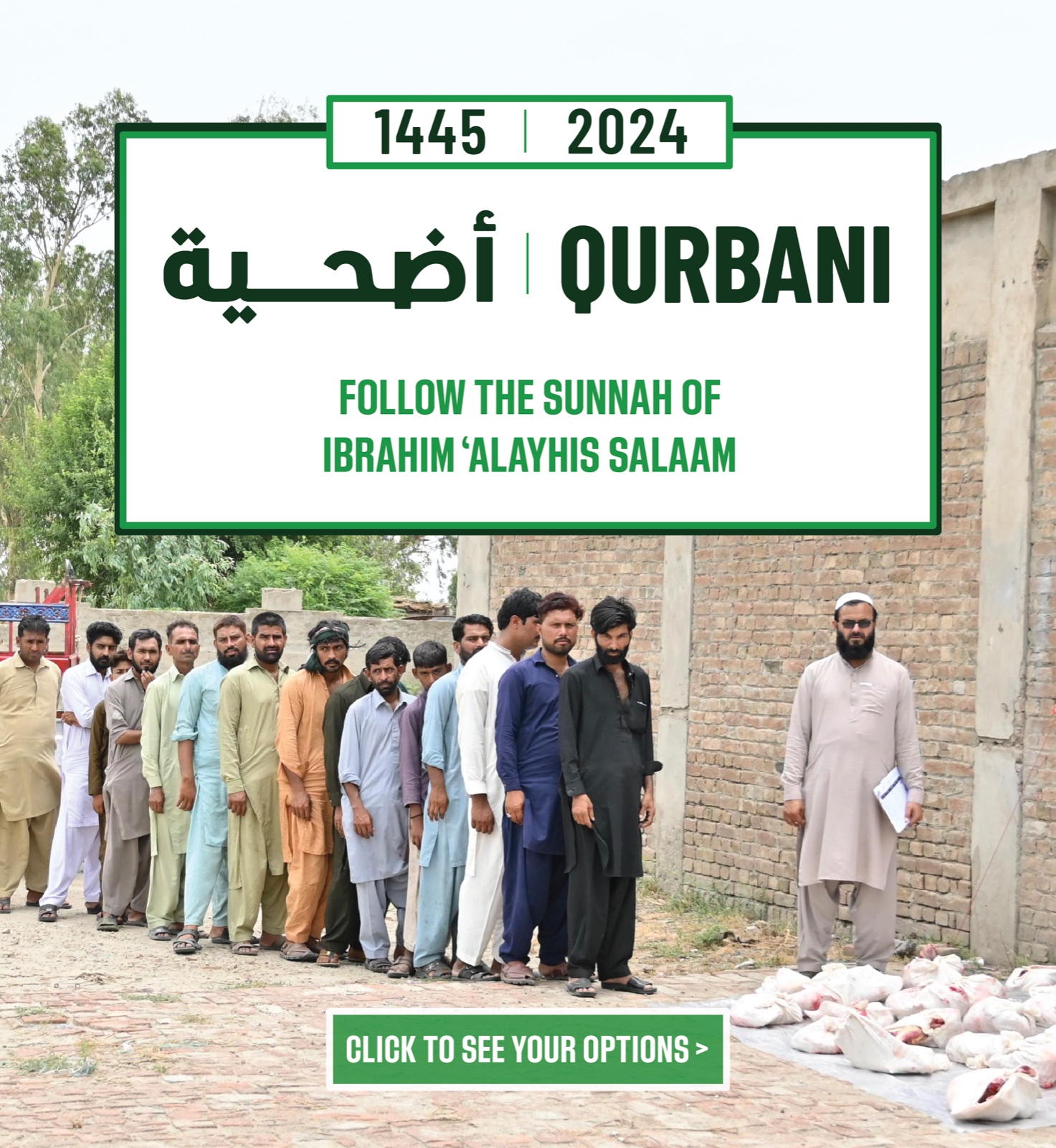 Additional image for Qurbani 2024